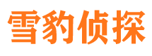 丰县侦探调查